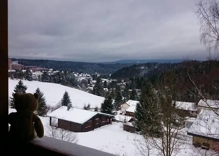 Haus Bergwiese 阿尔特瑙