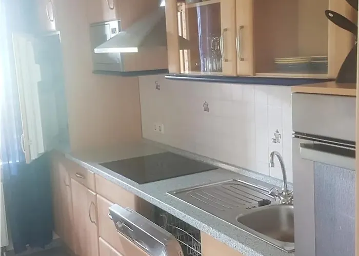 公寓 Haus Bergwiese 阿尔特瑙